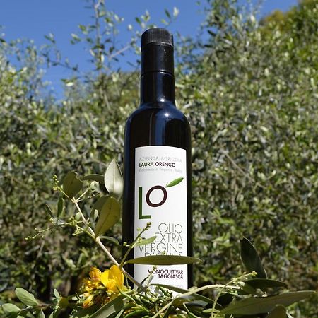 Agriturismo Dalla Mimmi 돌체아쿠아 외부 사진